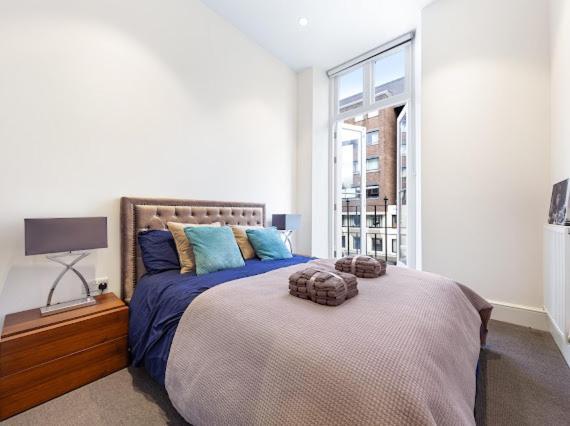 Harley Street Luxury Snug Apartment London Ngoại thất bức ảnh