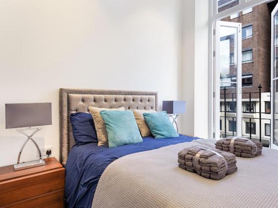 Harley Street Luxury Snug Apartment London Ngoại thất bức ảnh