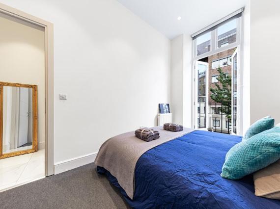 Harley Street Luxury Snug Apartment London Ngoại thất bức ảnh
