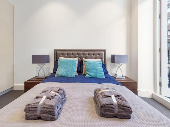 Harley Street Luxury Snug Apartment London Ngoại thất bức ảnh