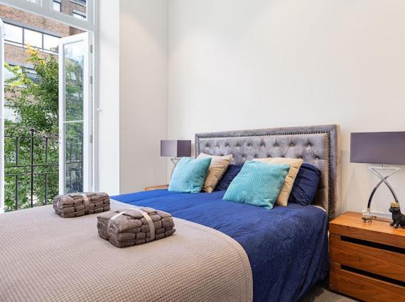 Harley Street Luxury Snug Apartment London Ngoại thất bức ảnh